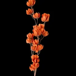 Bloesemtak | Action NL Sale