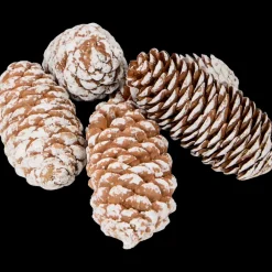 Decoratiemix | Action NL Best