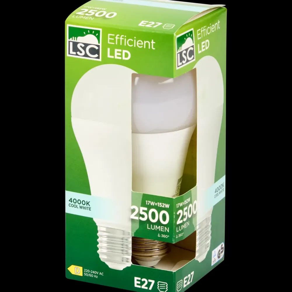 LSC ledlamp 17 watt 2500 lm | Action NL Discount