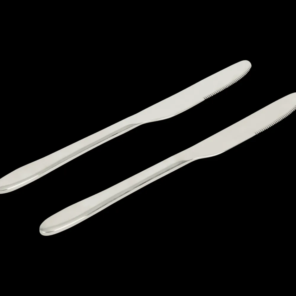 Messen Zilver 2 Stuks | Action NL