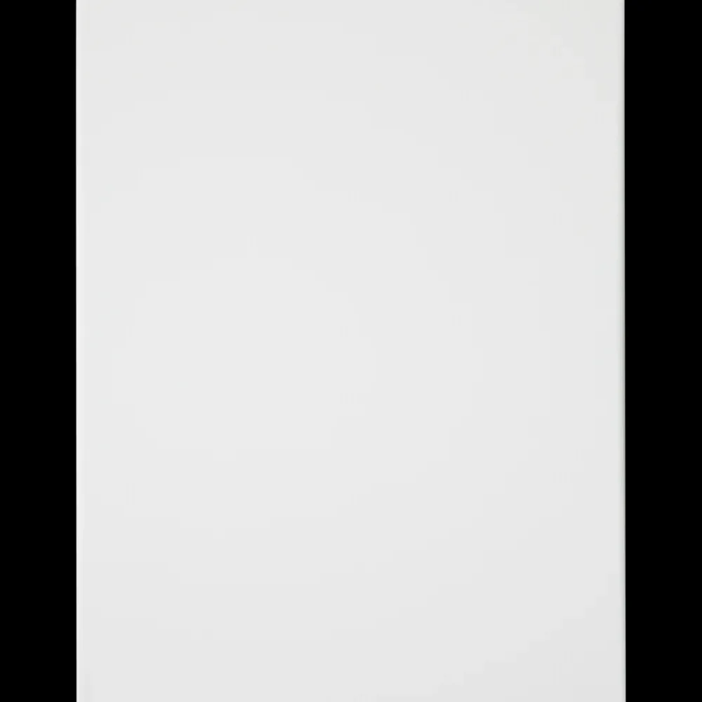 Van Bleiswijck schildersdoek | Action NL Hot